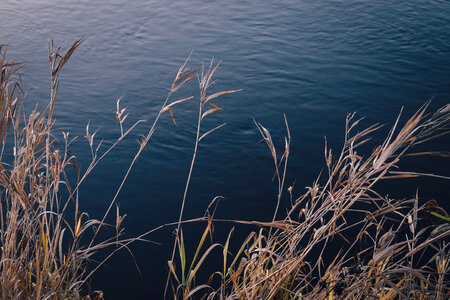 River Lake