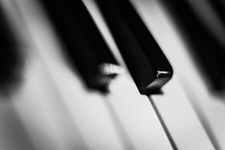 Piano Keys photo