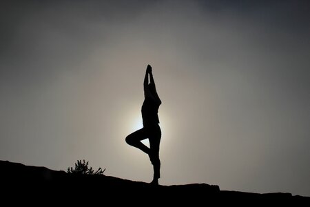Taichee Yoga photo