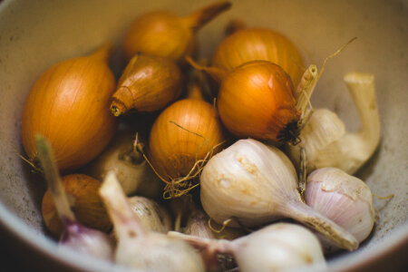Onions Garlic photo