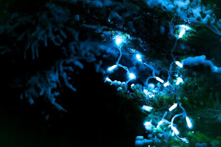 Christmas Lights photo