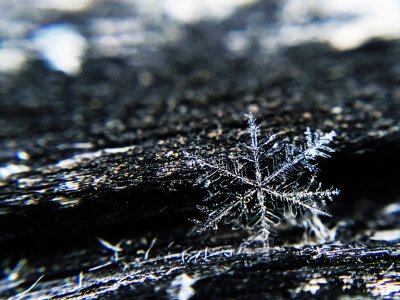 Snowflake Ice photo