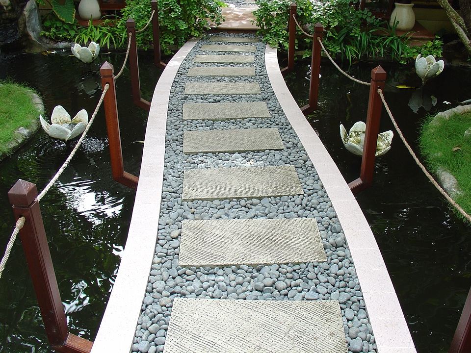 Water water lilies pond
