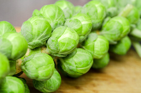 Green Brussels Sprouts photo
