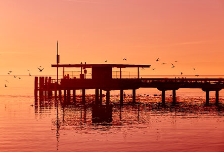 Pier Dock photo