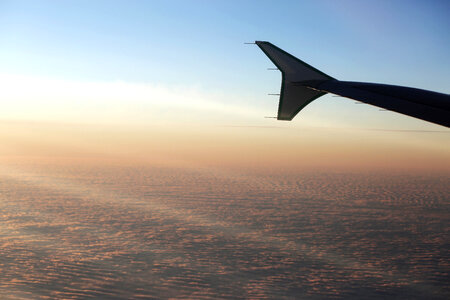 Airplane Wing photo