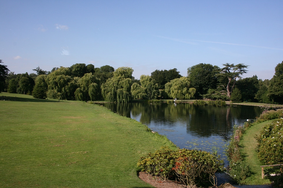 Green calm tranquility