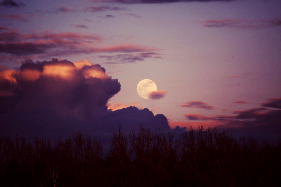 Moon Sunset photo