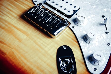 Electric Guitar