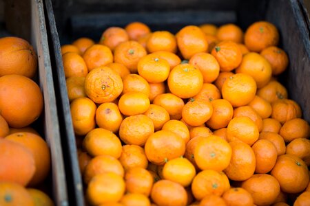 Oranges Clementines photo