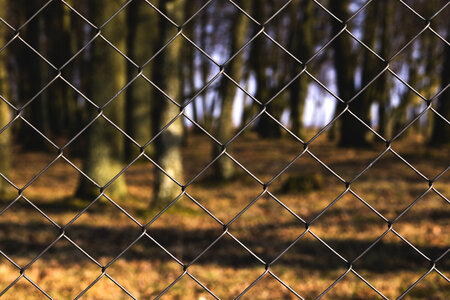 Chainlink Fence photo
