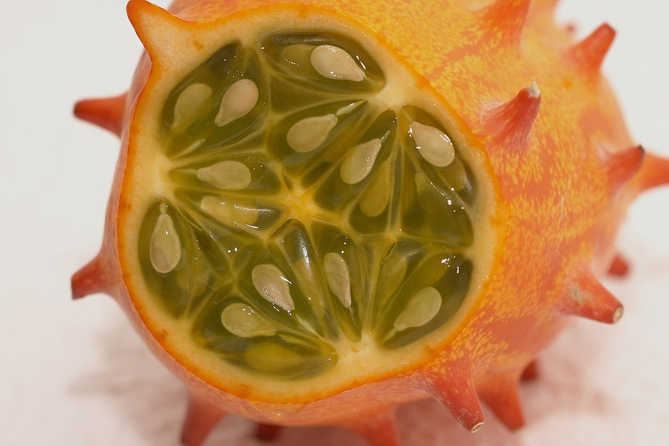 Kiwano cucumis metuliferus pumpkin