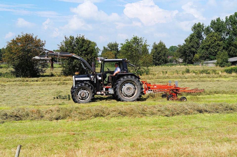 Haymaking cattle feed tractor