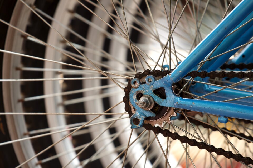 Transportation Bicycle