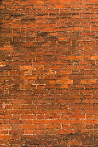 Wall Bricks photo