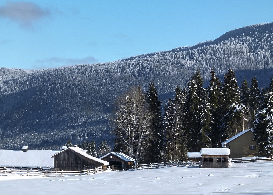 Snow icy landscape photo