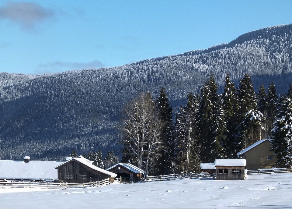 Snow icy landscape