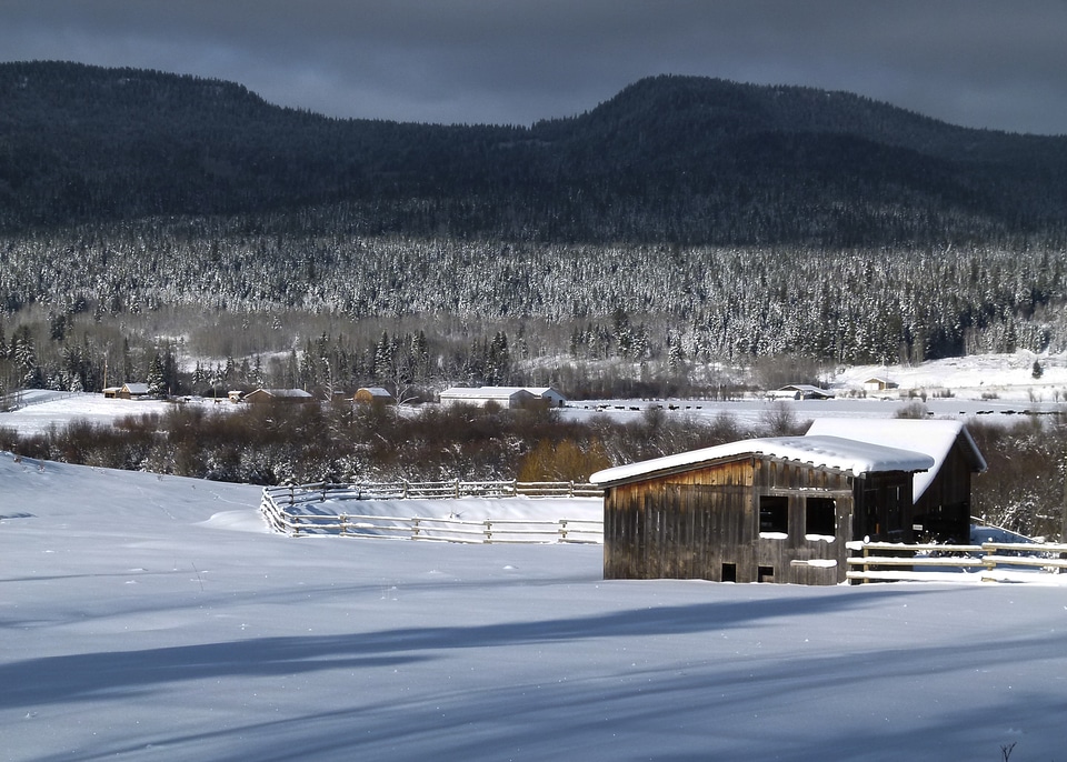 Snow icy landscape photo