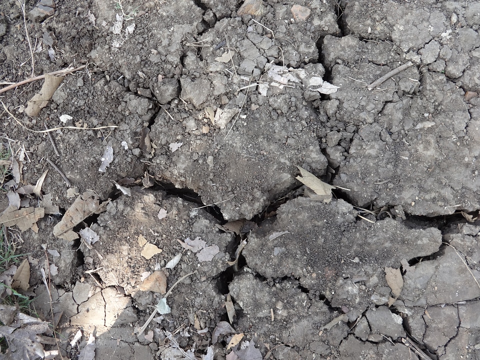 Cracks summer soil