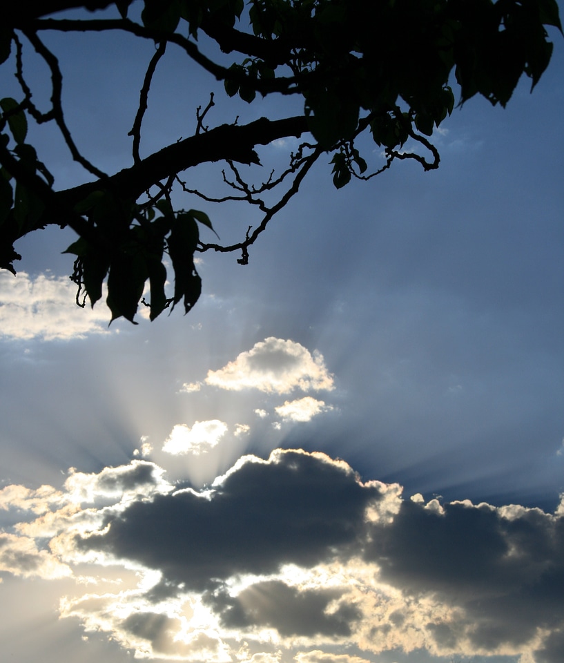 Bright shiny light rays