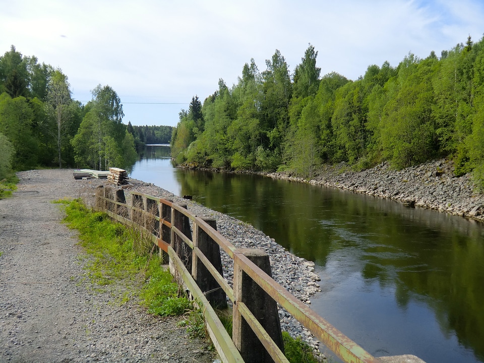 Woods river stream photo