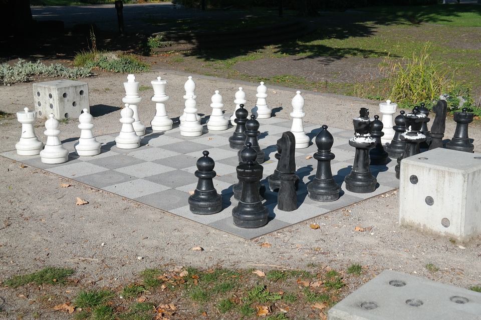 Black white chess game