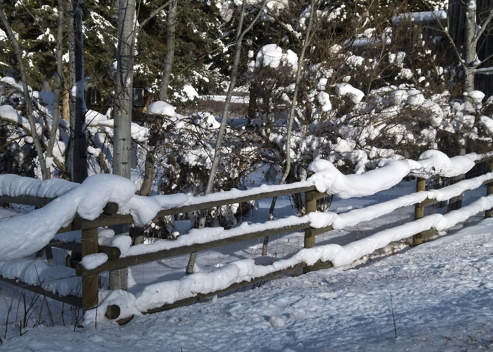 Snow icy landscape photo