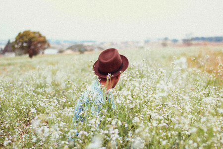 Flowers Field photo