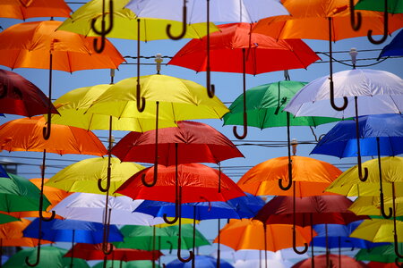 Umbrella Rain photo