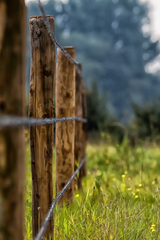 Pasture wire demarcation