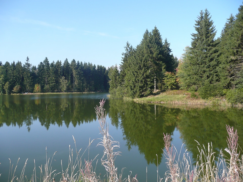 Ponds nature landscape