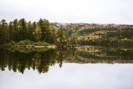 Green Trees photo