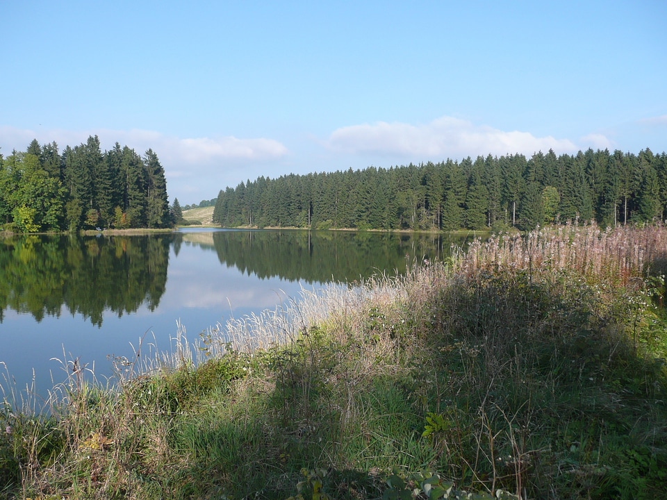 Ponds nature landscape