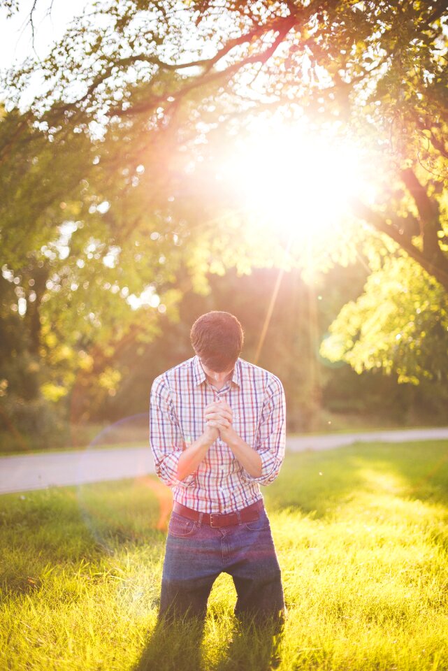 Green Grass photo