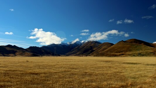 Mountain Grass photo