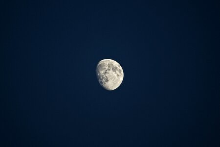 Moon Dark photo