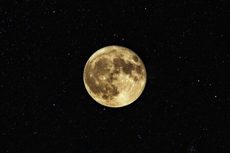 Dark Moon