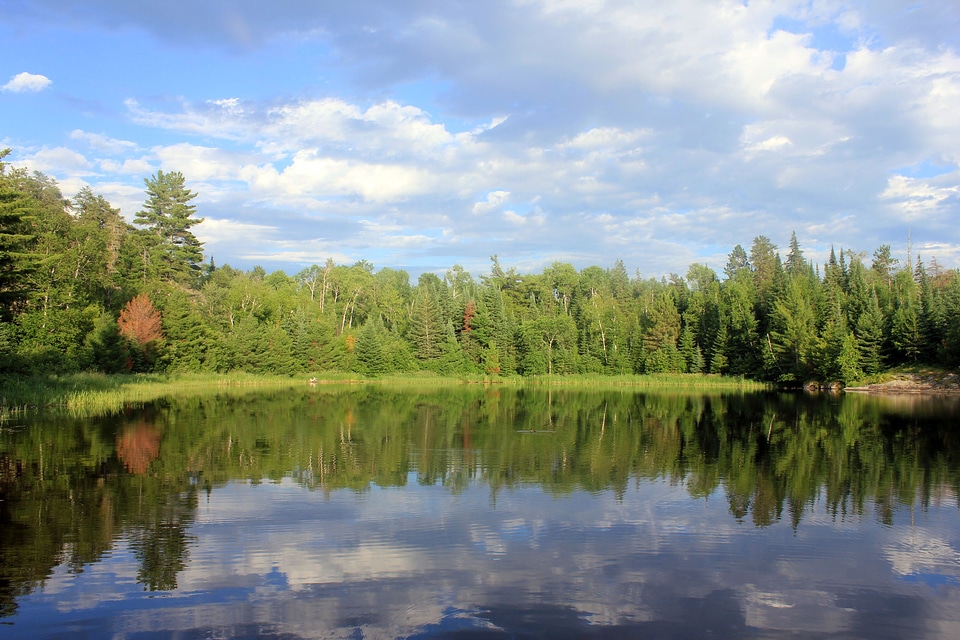 Minnesota shoreline lake