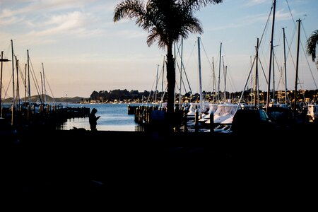 Dark Yacht photo