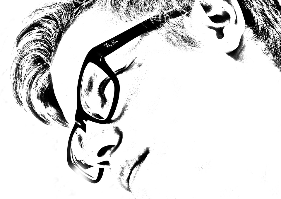 Face section glasses