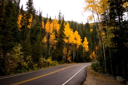 Road Path photo