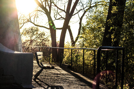 Bench Sunlight photo