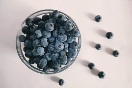 Blueberry Fruit photo