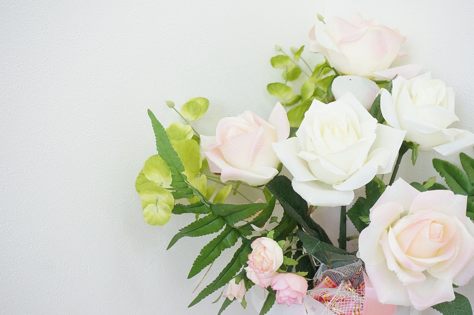 Rosaceae pink white