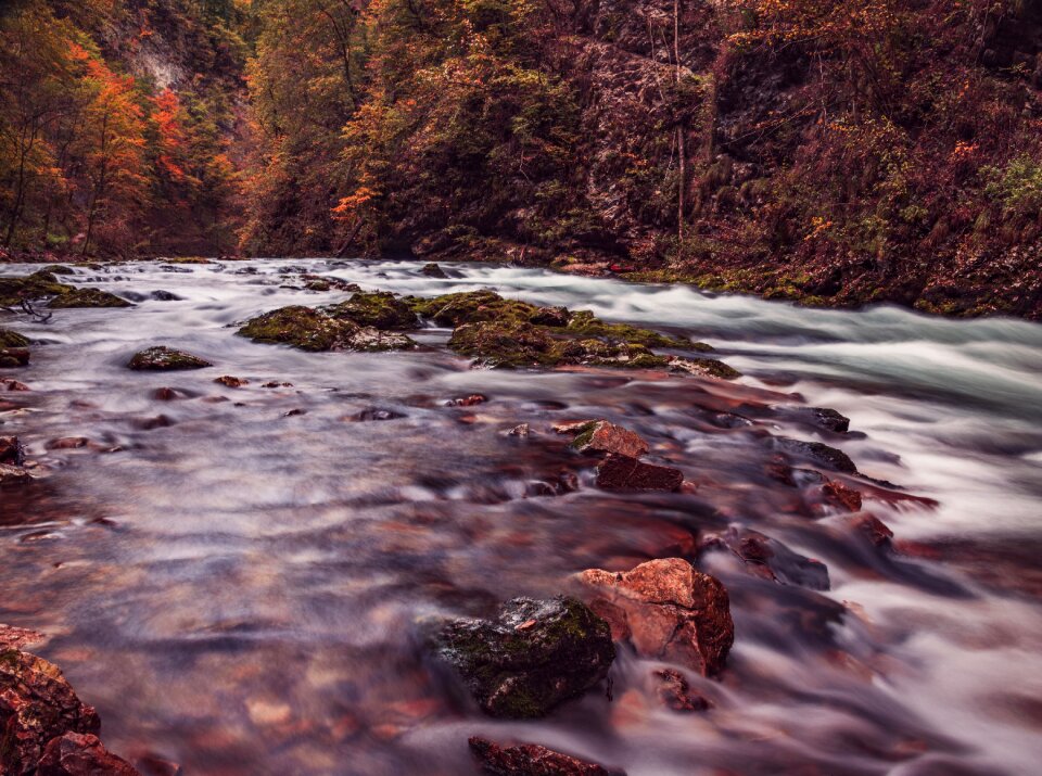 Water Waves photo