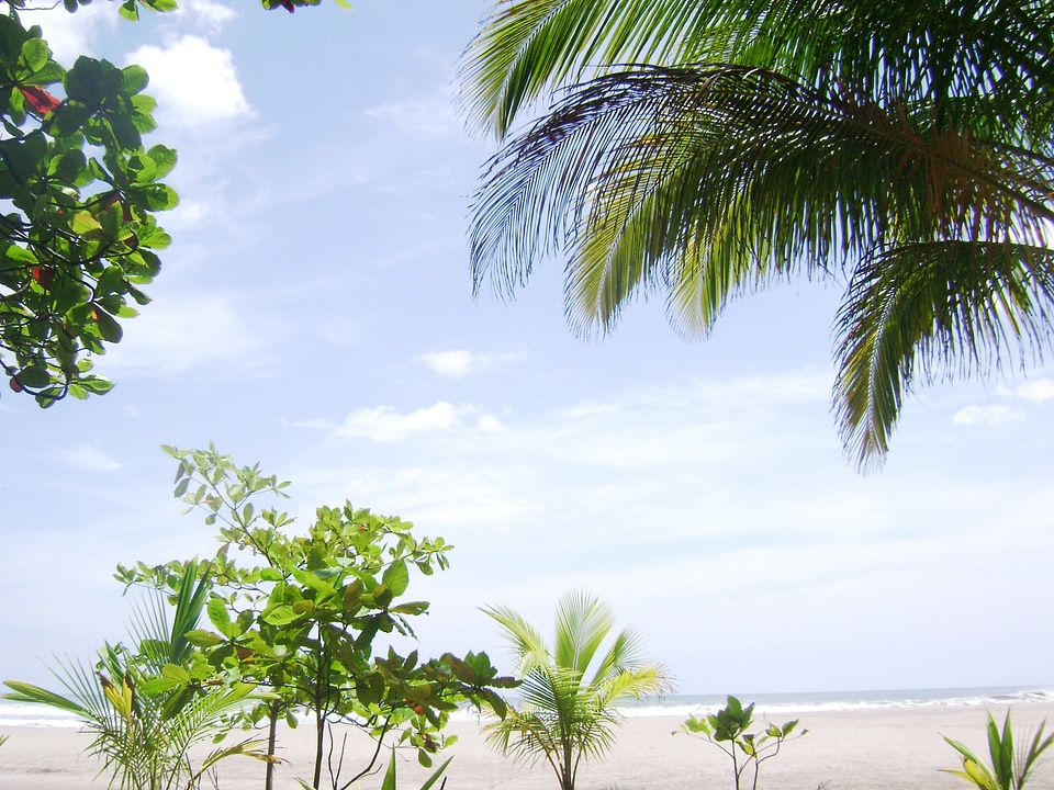 Almond beach costa