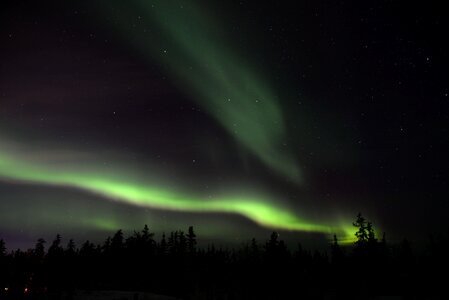 Aurora Sky