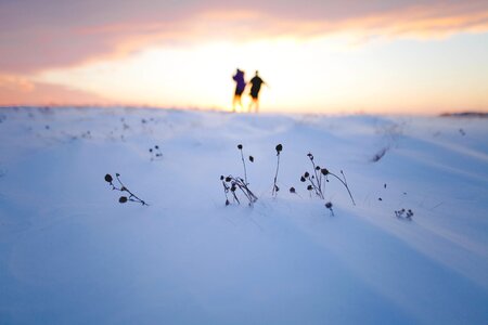 Snow Winter photo