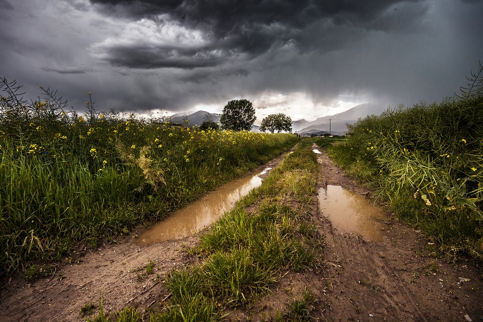 Countryside clouds field