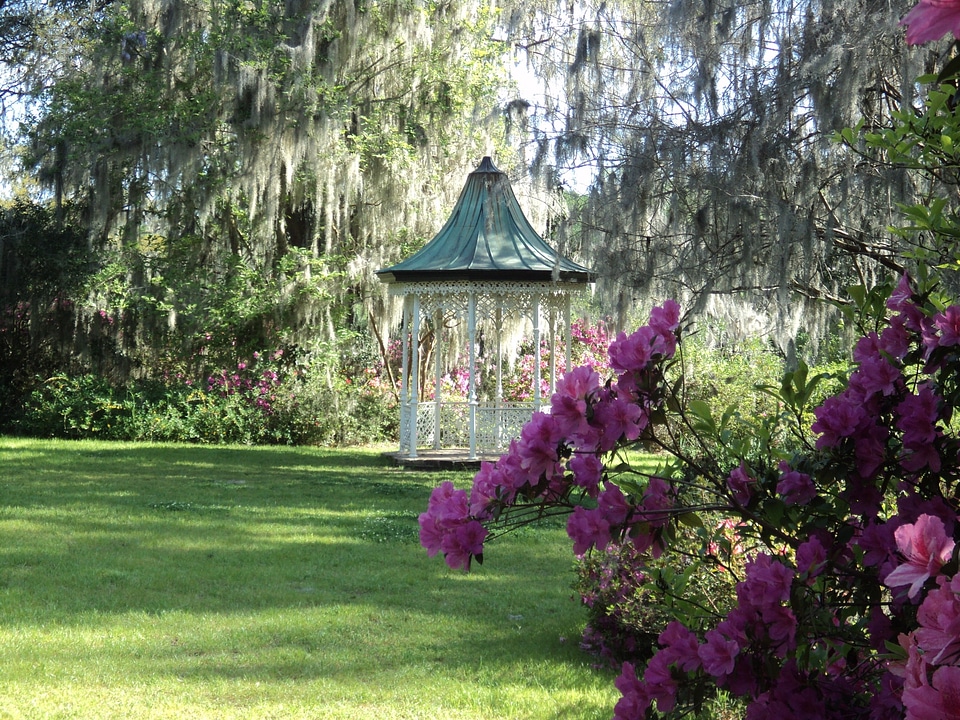 Landscaping scenic garden